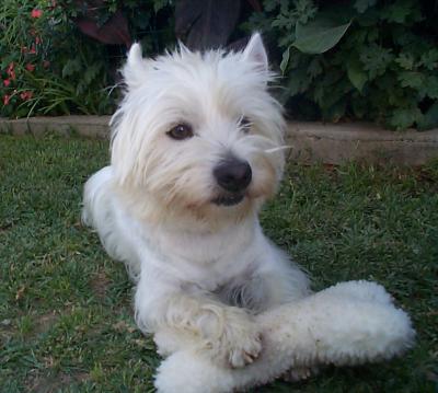 Me and my bone toy