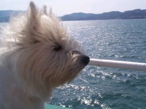 Boat ride